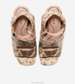 impressão de cobra calçados 8Z8F175 mulheres Cole Haan sandália reina city - Image 4